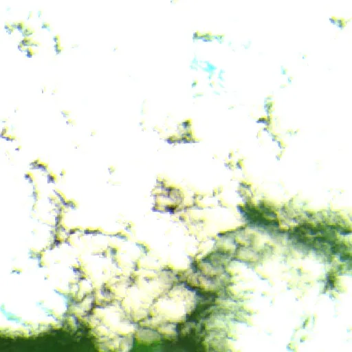 Incendio cerca de Uguay — Sentinel-2 SWIR (fuego)