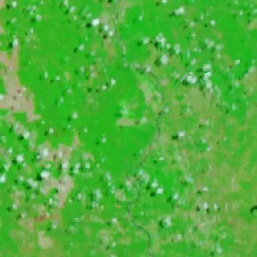Wildfire near União — NASA satellite