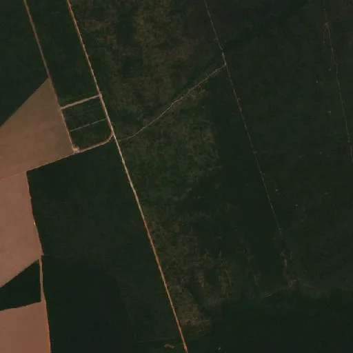 Wildfire near União do Sul (Aug 25) — Sentinel-2 true color