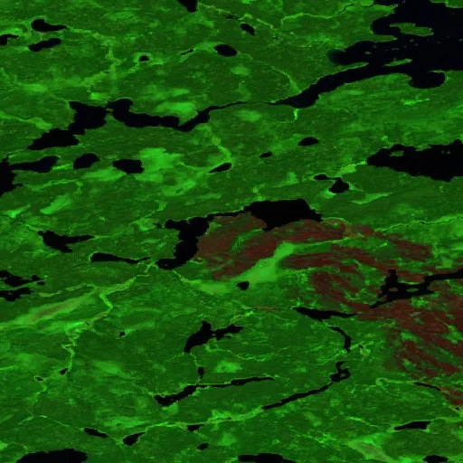Wildfire near Cat Lake (Jul 11 · E) — Sentinel-2 SWIR