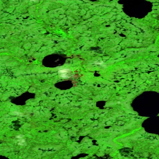 Incendio cerca de Unorganized Kenora District (Jul 8) — Sentinel-2 SWIR (fuego)