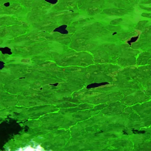 Incendio cerca de Unorganized Kenora District (Jul 14 · E #2) — Sentinel-2 SWIR (fuego)