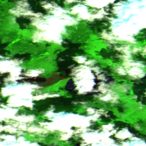 Incendio cerca de Kenora (5 jul) — Sentinel-2 SWIR (fuego)