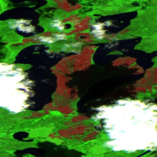 Incendio cerca de Kenora (30 jun) — Sentinel-2 SWIR (fuego)