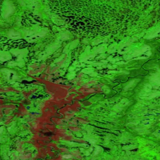 Incendio cerca de Peawanuck — Sentinel-2 SWIR (fuego)