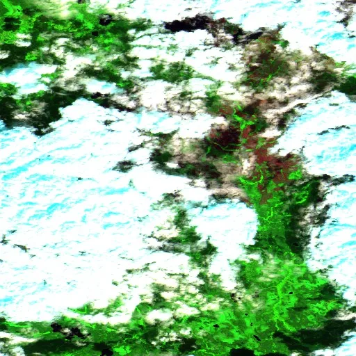 Wildfire near Casummit Lake (Jun 27) — Sentinel-2 SWIR (fuego)