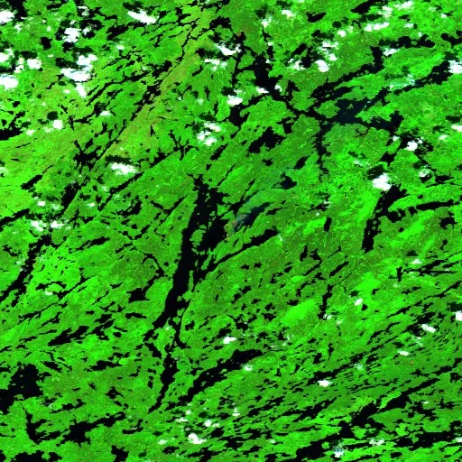 Wildfire near Unorganized Rainy River (Jun 20) — Sentinel-2 SWIR (fuego)
