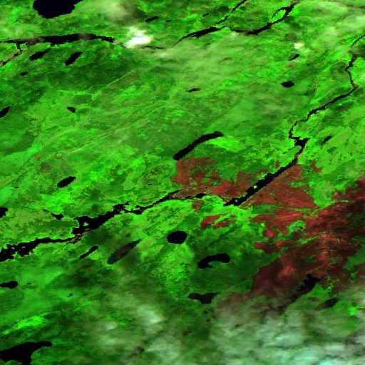 Incendio cerca de Rat Rapids (14 jul) — Sentinel-2 SWIR (fuego)