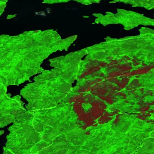 Incendio cerca de Auden — Sentinel-2 SWIR