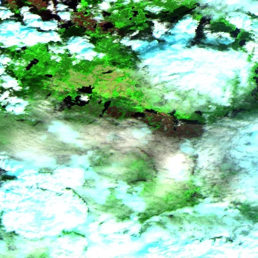 Incendio cerca de Savant Lake — Sentinel-2 SWIR (fuego)