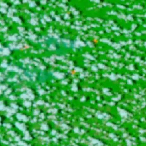 Incendio cerca de Uruará — NASA satellite