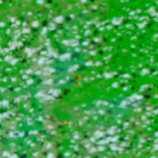 Incendio cerca de Usina (1 oct · W) — NASA satellite