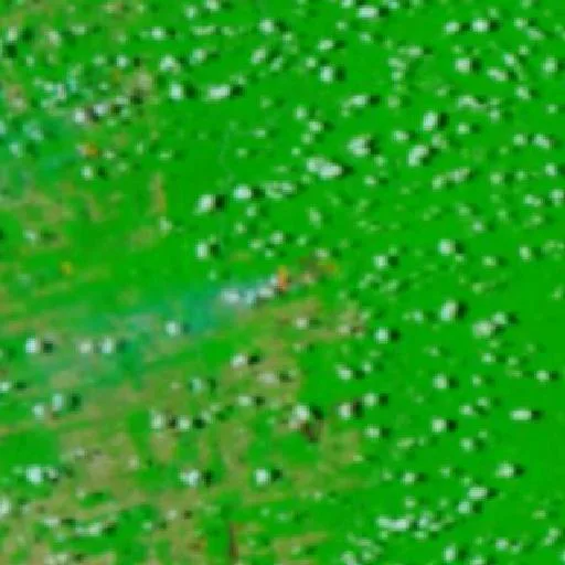 Incendio cerca de Usina — NASA satellite