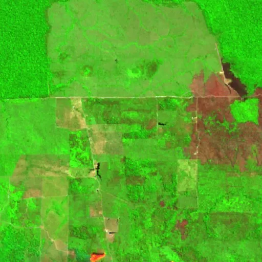 Wildfire near Vale do Salvaçao (Aug 21) — Sentinel-2 SWIR (fuego)