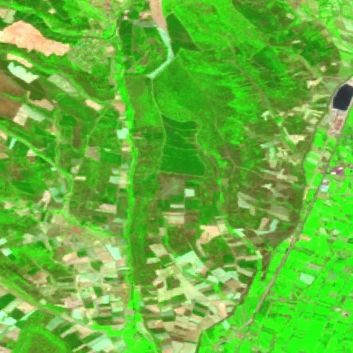 Wildfire near Vegas del Condado (Jul 29) — Sentinel-2 SWIR (fuego)