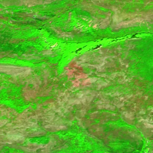 Wildfire near Vence — Sentinel-2 SWIR (fuego)