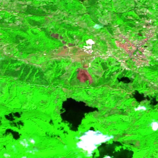 Wildfire near Vico del Gargano — Sentinel-2 SWIR (fuego)