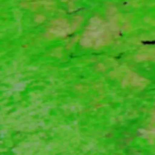 Wildfire near Vieira do Minho — NASA satellite