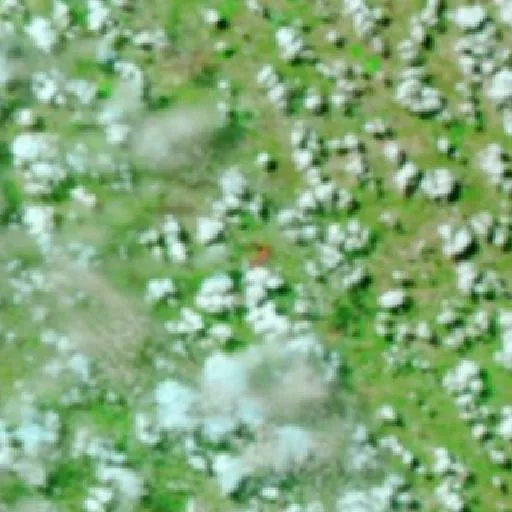 Wildfire near Vila Propício (Sep 14) — NASA satellite