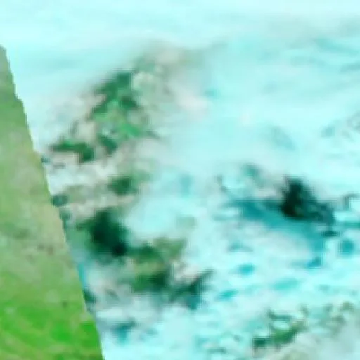 Incendio cerca de Villagarcía de la Torre — NASA satellite