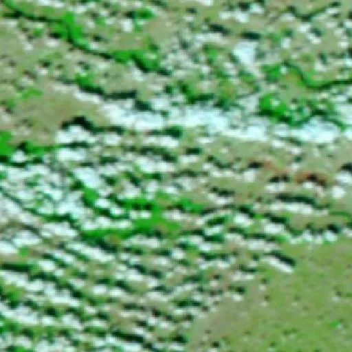 Wildfire near Višnjićevo — NASA satellite