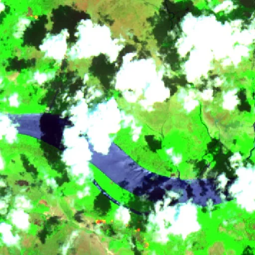 Incendio cerca de Vitória do Jari (29 oct) — Sentinel-2 SWIR (fuego)