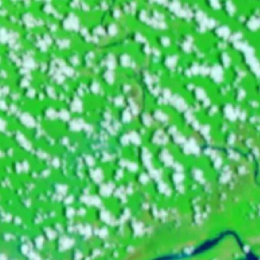 Wildfire near Vitória do Jari — NASA satellite