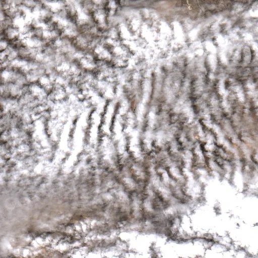 Incendio cerca de Walgett (sin fecha #3) — Sentinel-2 true color