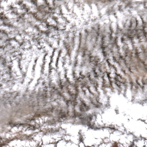 Walgett Bushfire (undated #4) — Sentinel-2 true color