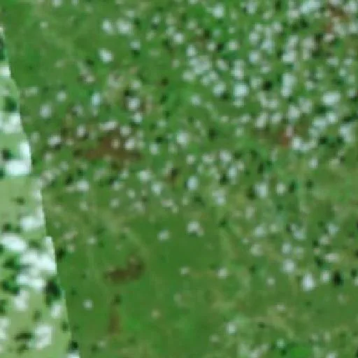 Wildfire near Wall Ferraz — NASA satellite