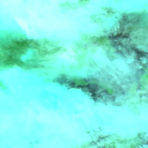Wangi Wangi Bushfire (undated #2) — Sentinel-2 SWIR (fuego)