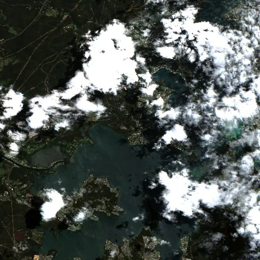 Incendio cerca de Wangi Wangi (sin fecha #3) — Sentinel-2 true color