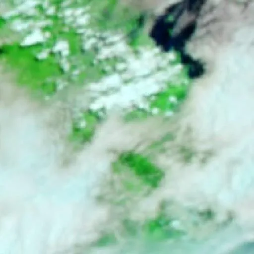Waterford West Bushfire — NASA satellite
