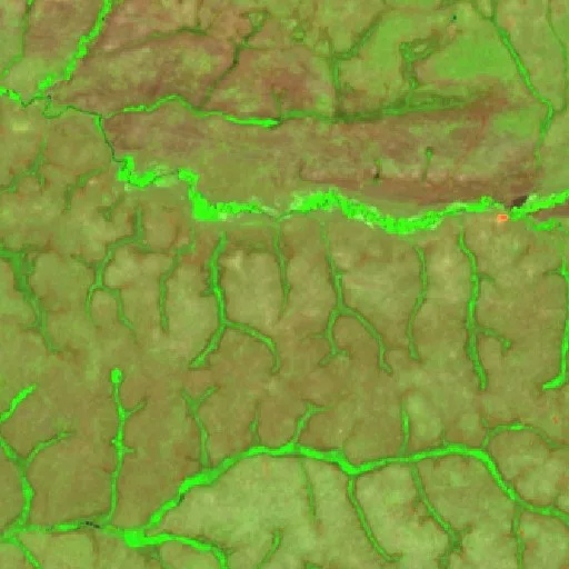 Wildfire near Waypa (Oct 2) — Sentinel-2 SWIR