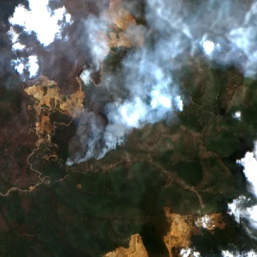 Wildfire near Weda (Oct 2) — Sentinel-2 true color