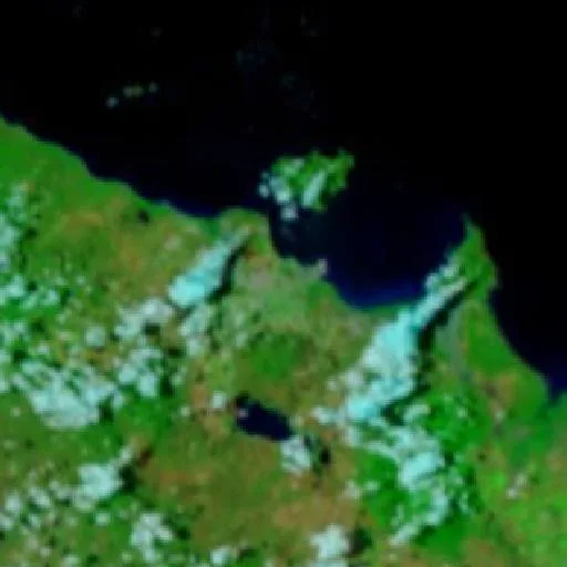 West End Bushfire — NASA satellite