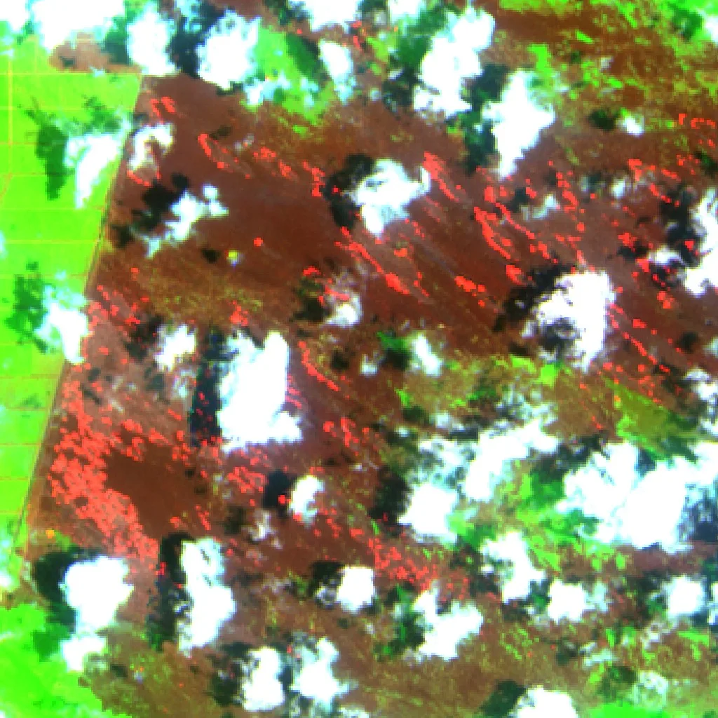 Wildfire near West Kotawaringin (Oct 13) — Sentinel-2 SWIR (fuego)