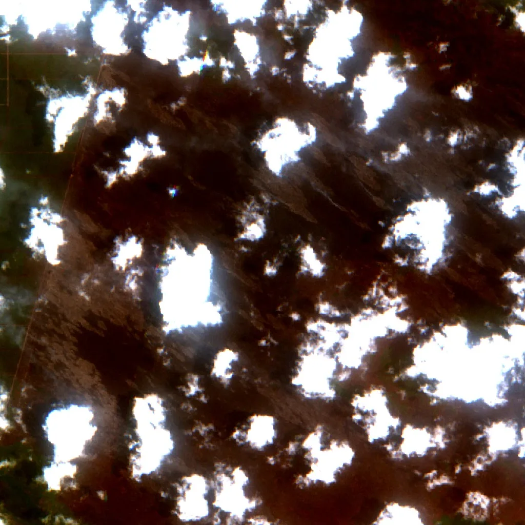Wildfire near West Kotawaringin (Oct 13) — Sentinel-2 true color