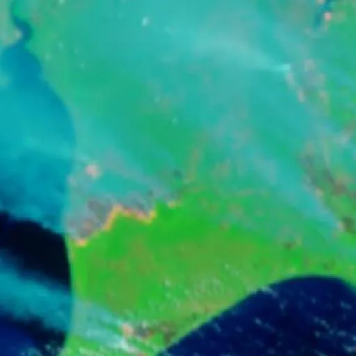 Incendio cerca de West Kotawaringin (20 sep · E) — NASA satellite