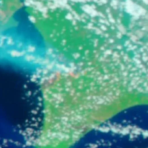 Wildfire near West Kotawaringin (Sep 16 · E) — NASA satellite