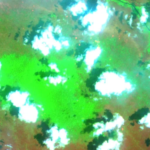 Wildfire near West Kotawaringin (Oct 5) — Sentinel-2 SWIR (fuego)