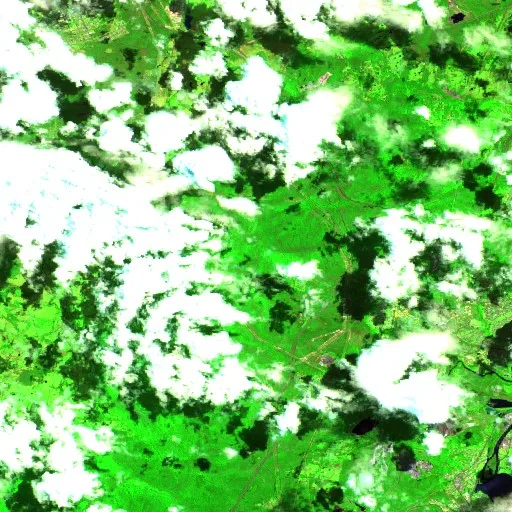 West Wallsend Bushfire — Sentinel-2 SWIR (fuego)