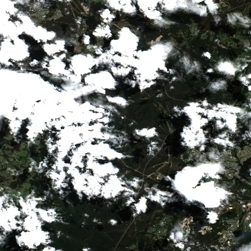 West Wallsend Bushfire — Sentinel-2 true color