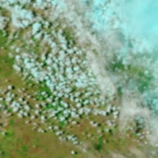 Incendio cerca de Westwood — NASA satellite