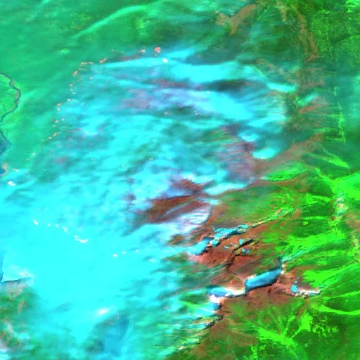 Wildfire near Whatcom County — Sentinel-2 SWIR (fuego)
