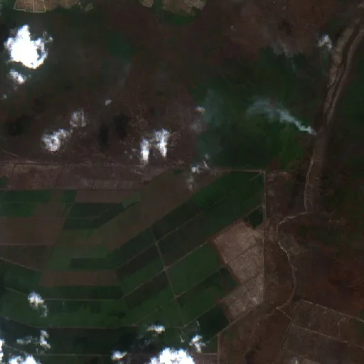 Incendio cerca de Wiralaga Mulya (21 oct · W) — Sentinel-2 true color