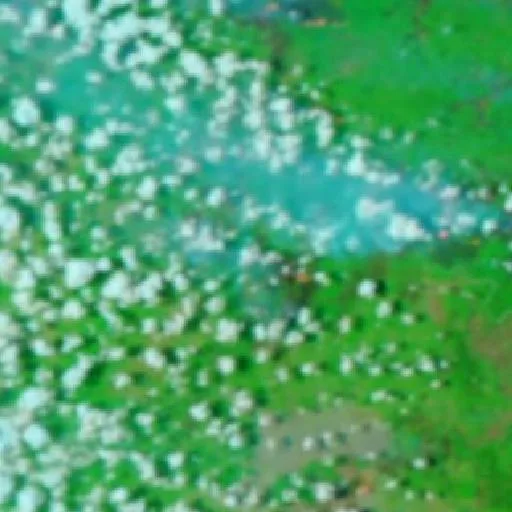 Wildfire near Wiralaga Mulya (Oct 2 · W) — NASA satellite