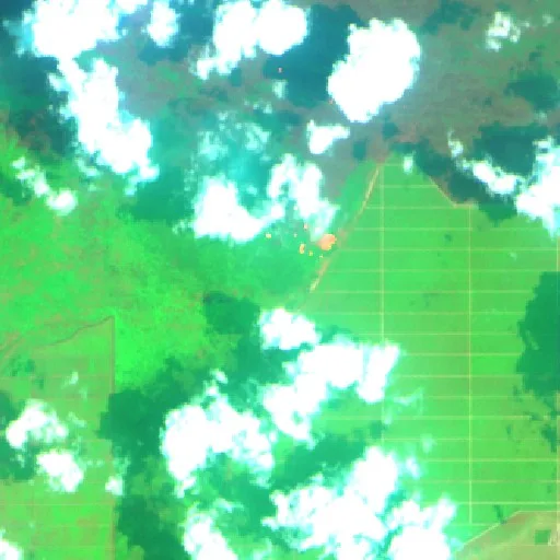 Wildfire near Wiralaga Mulya (Oct 20), Indonesia (2026) — Map & Containment