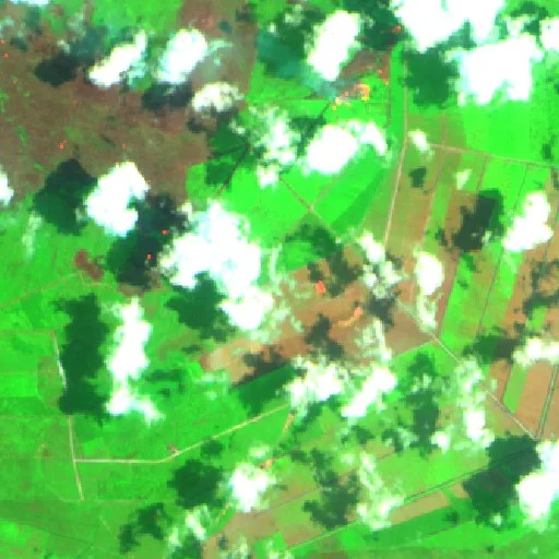 Wildfire near Wiralaga Mulya (Oct 2 · NE) — Sentinel-2 SWIR (fuego)
