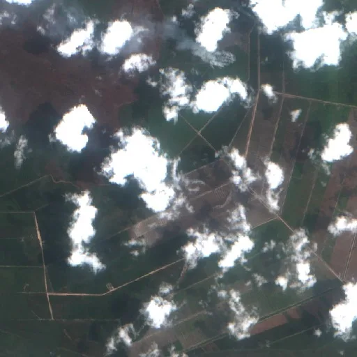 Wildfire near Wiralaga Mulya (Oct 2 · NE) — Sentinel-2 true color